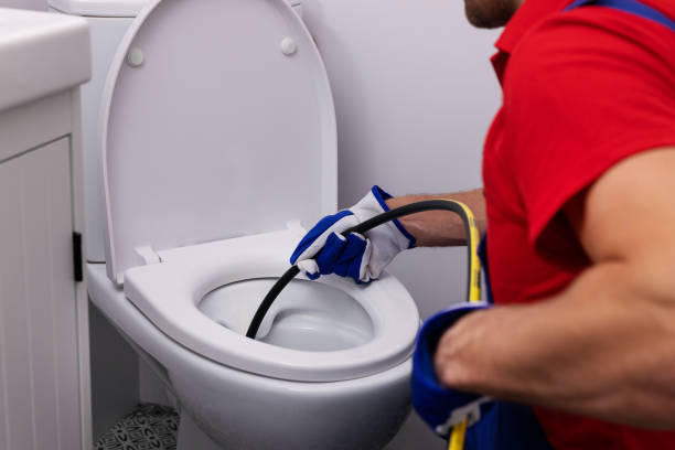Best Commercial Plumbing Services  in Coleman, MI