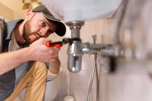 Best Plumbing Inspection Services  in Coleman, MI