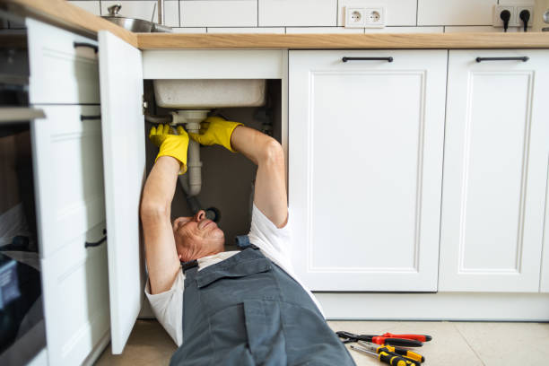 Best Emergency Plumber  in Coleman, MI